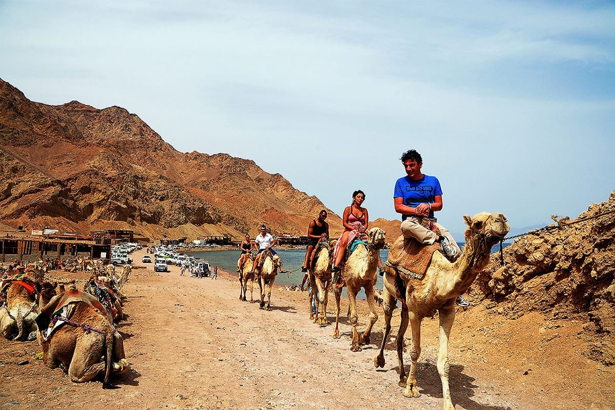 Discovery 5 in 1: Canyon Colorato, reef, cammelli, quad, Dahab — Sharm el Sheikh